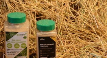 Bakteriální kurník stelivo